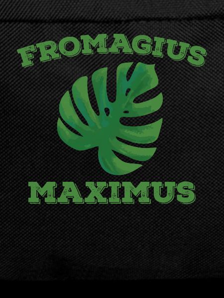 Monstera plant Fromagius Maximus