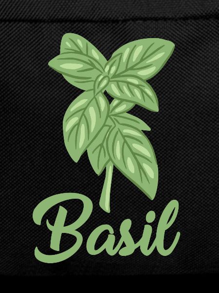 Basilikum