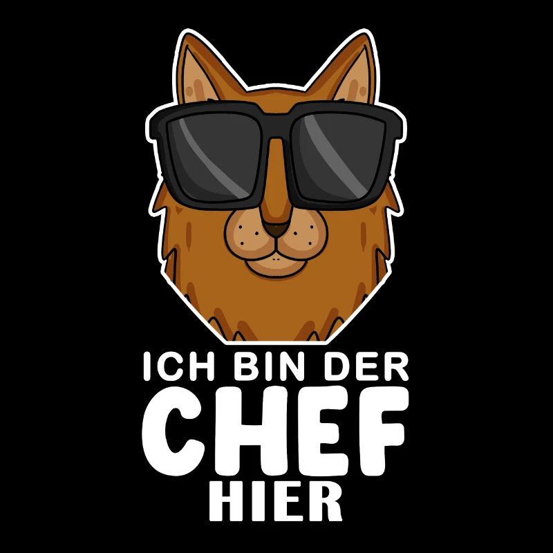 coole Katze - Somali Katze Spruch