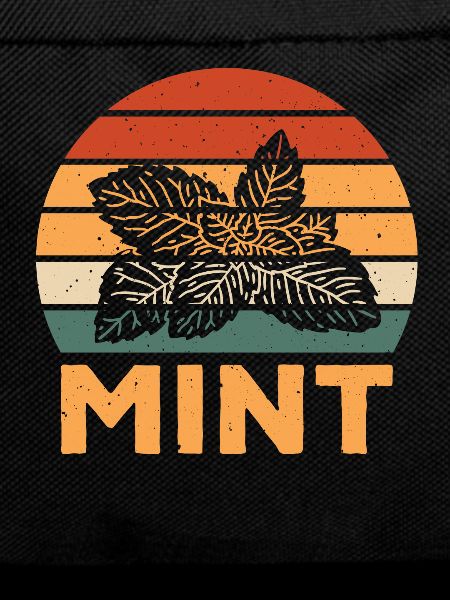 Retro Mint Design