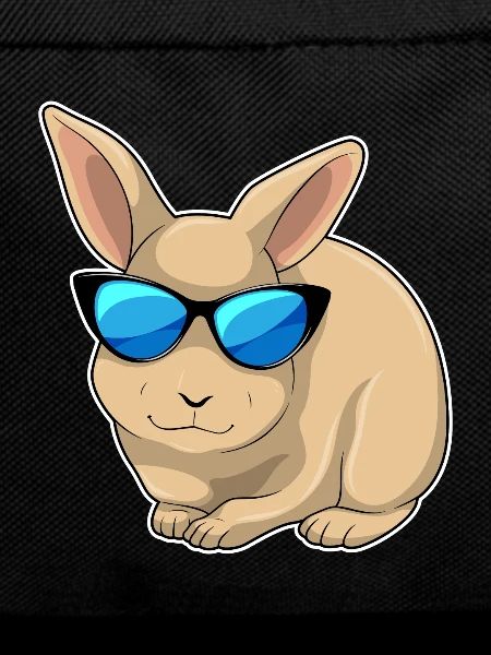 Rabbit Sunglasses