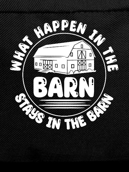Funny Barn Owner Design