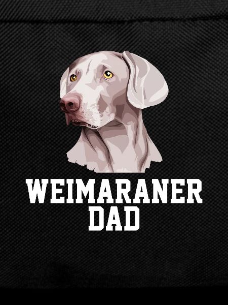 weimaraner weimaraner dog