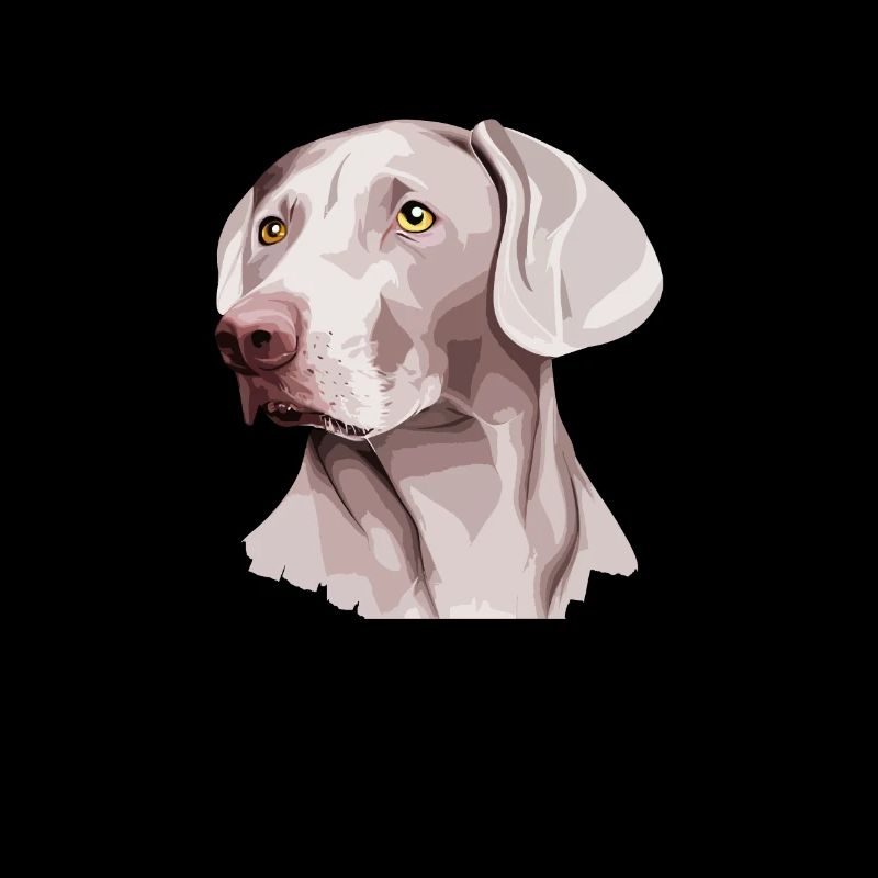 Weimaraner Chien