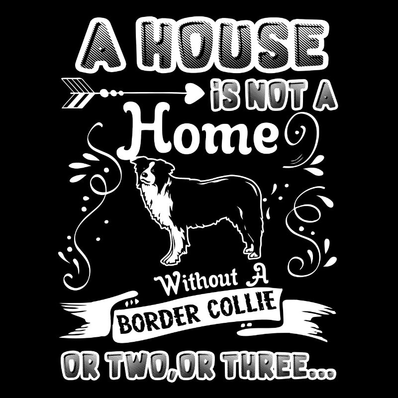 Border Collie Home Without Border Collie