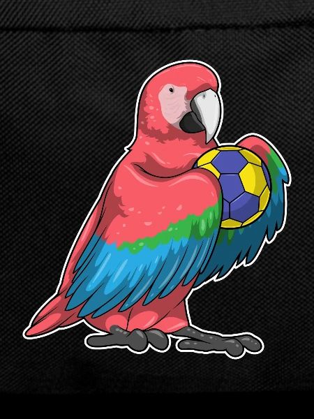 Parrot Handball Player Handball
