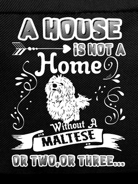 Maltese Home Without Maltese