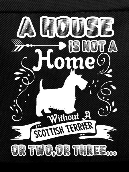 Scottish Terrier Home Without
