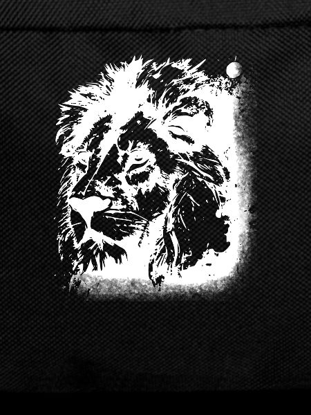 Lion Lion's Head