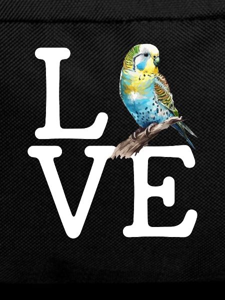 budgerigar parakeet, budgie