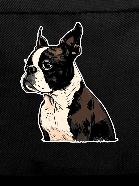 Boston Terrier