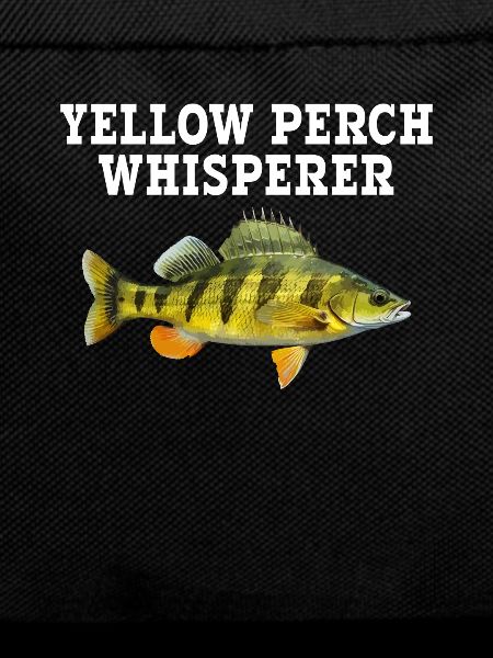 Yellow Perch whisperer, Yellow Perch