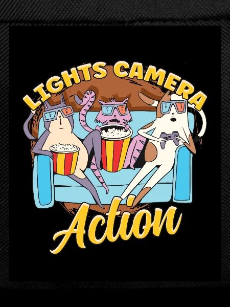 Ligts Camera Action