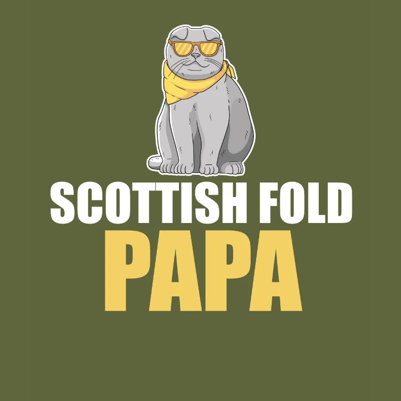 Scottish Fold Cat