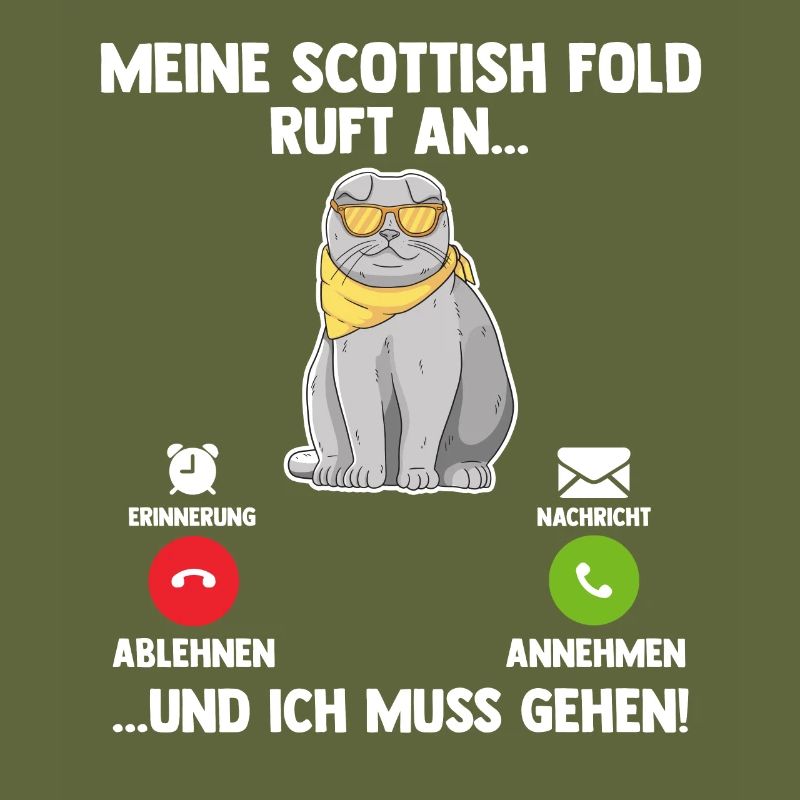 Scottish Fold Katze
