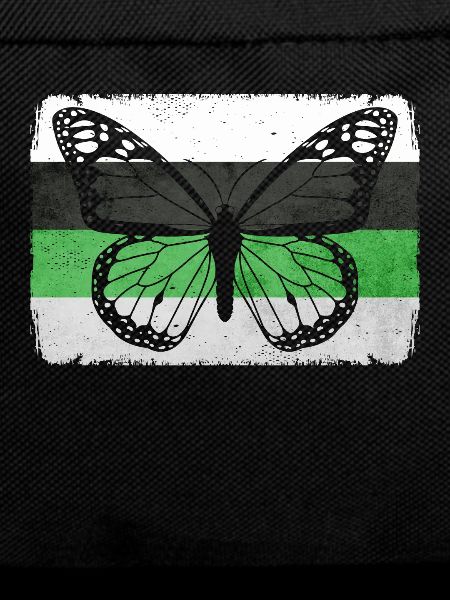 Demiromantic Pride Flag Butterfly Sublte