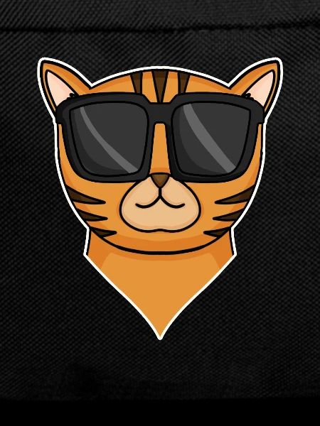 cool cat with sunglasses