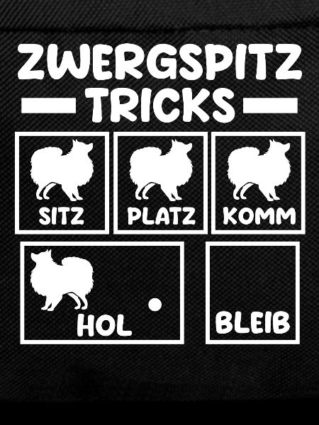 Hund Zwergspitz