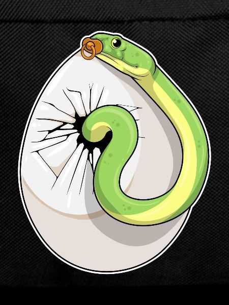 Snake Baby Pacifier