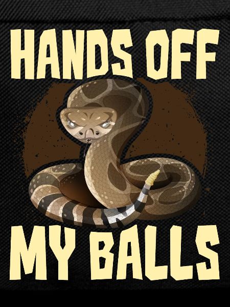 Ball Python Snake