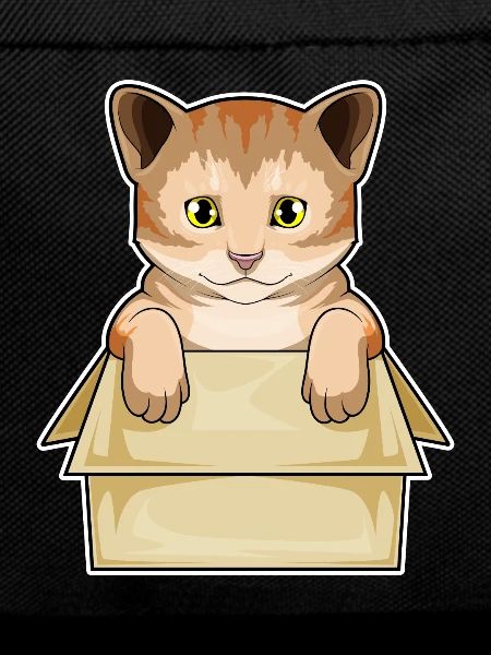 Cat Cardboard
