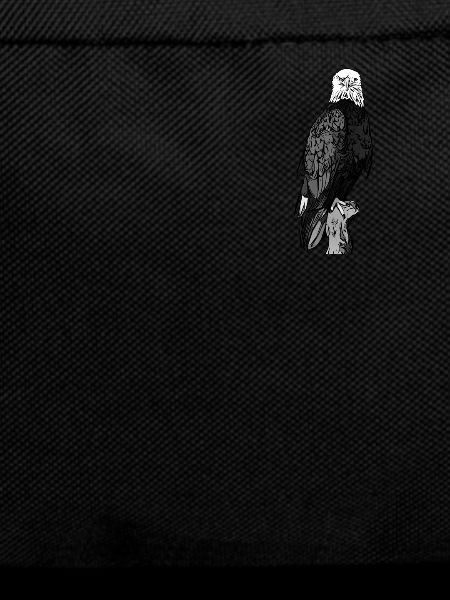 Bald eagle black and white