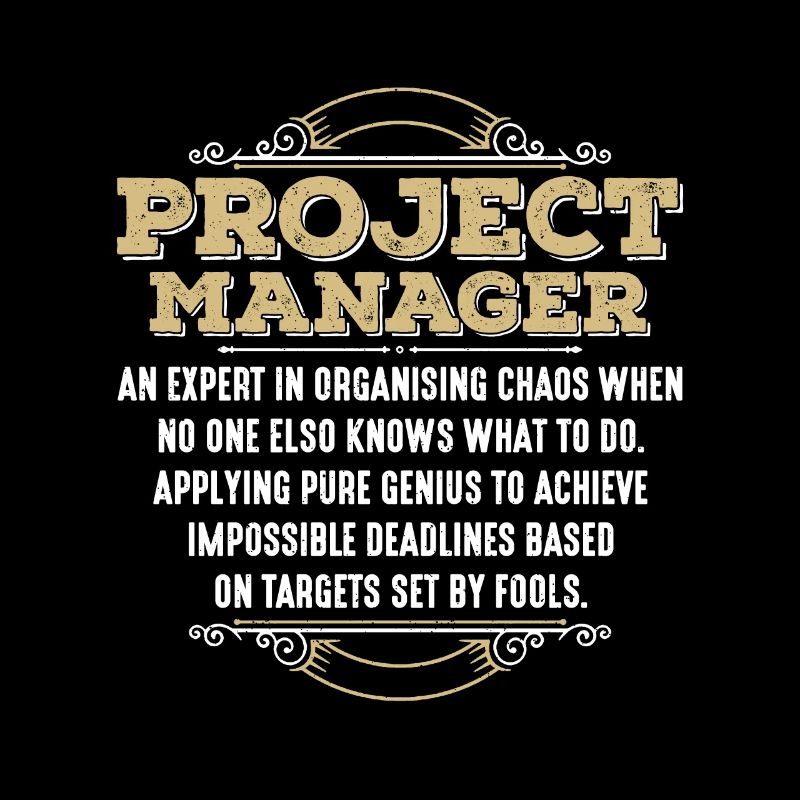 Chef de projet Un expert en gestion de projet