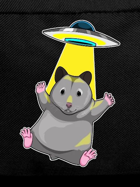 Hamster Spaceship Space