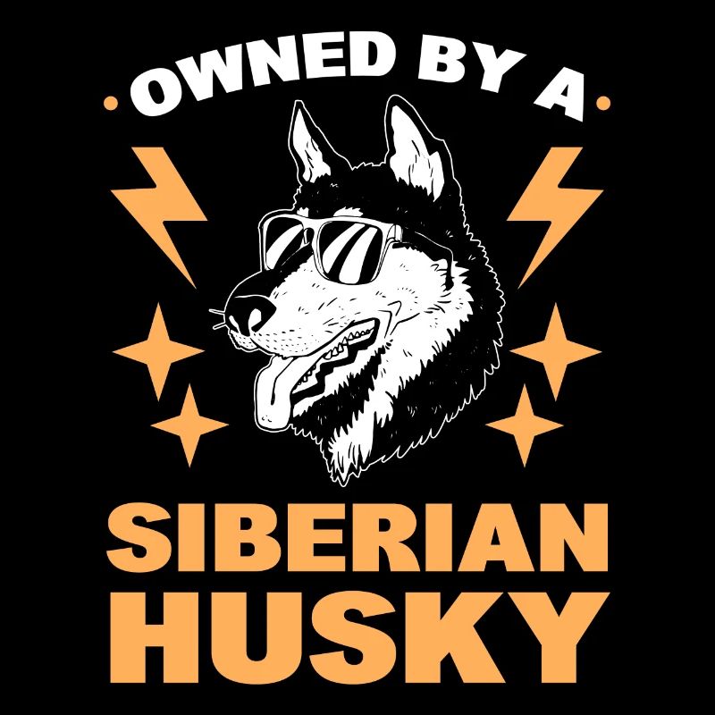 Im Besitz eines Siberian Huskys Siberian Sled Dog