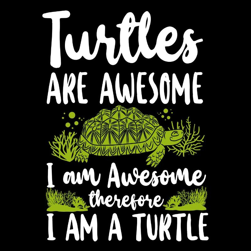 Sea Turtle Tortoise Turtles Are