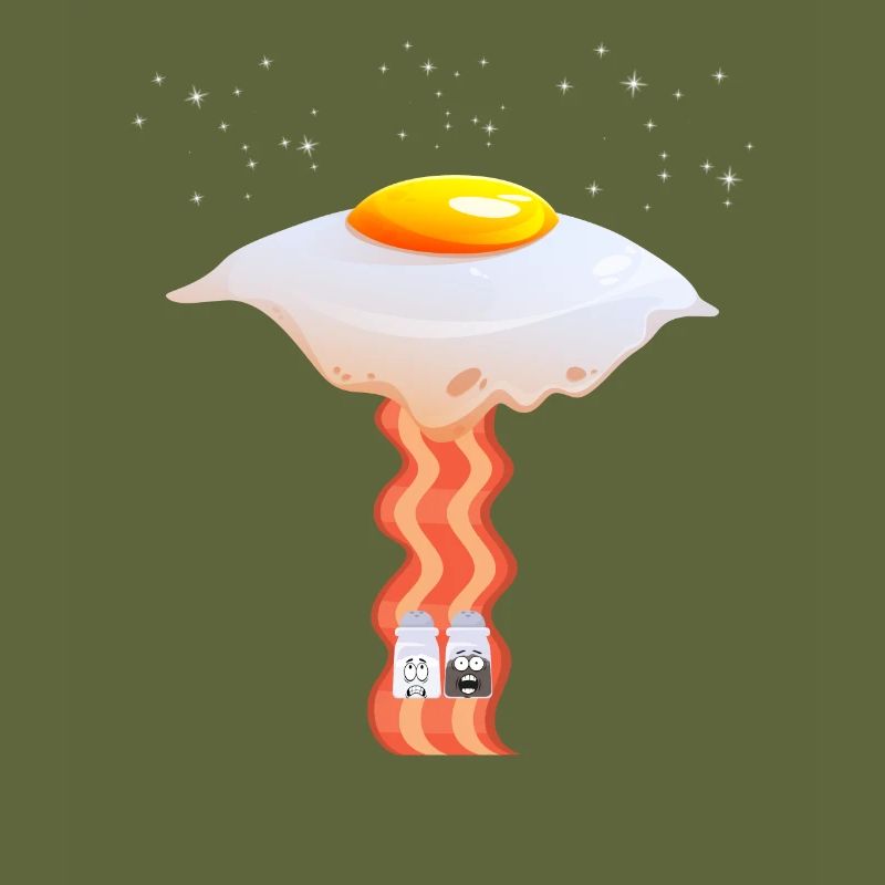 Funny Design Fried Egg UFO beams salt pepper