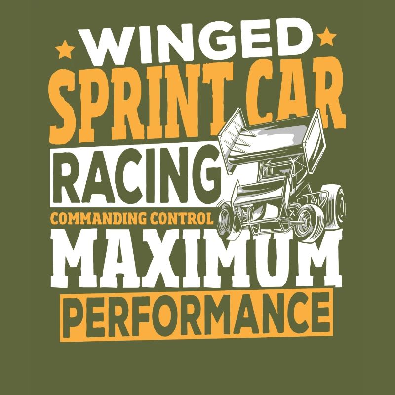 Winged Sprint Car Racing Commanding Control