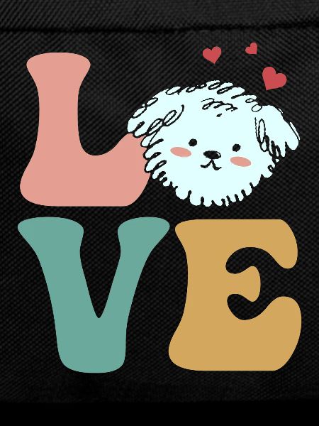 Bichon Frise Dog