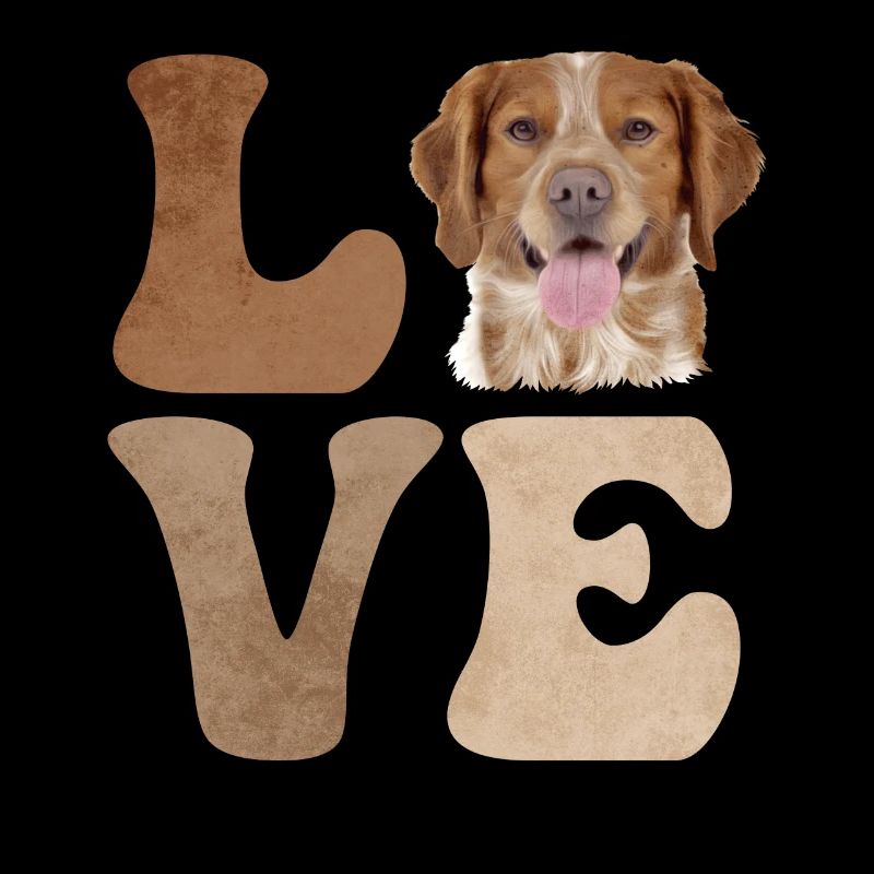 Brittany Spaniel Dog