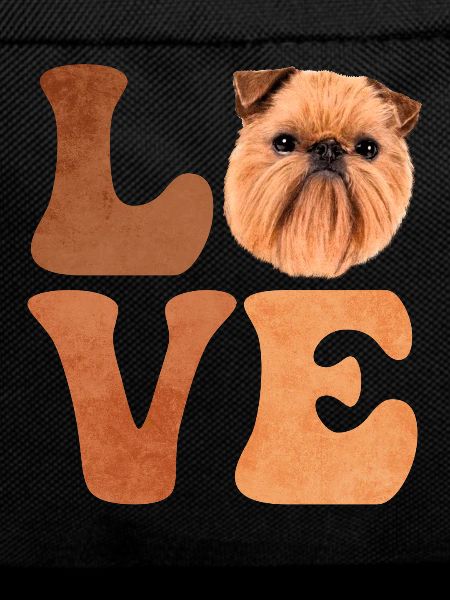 Brüsseler Griffon Hund