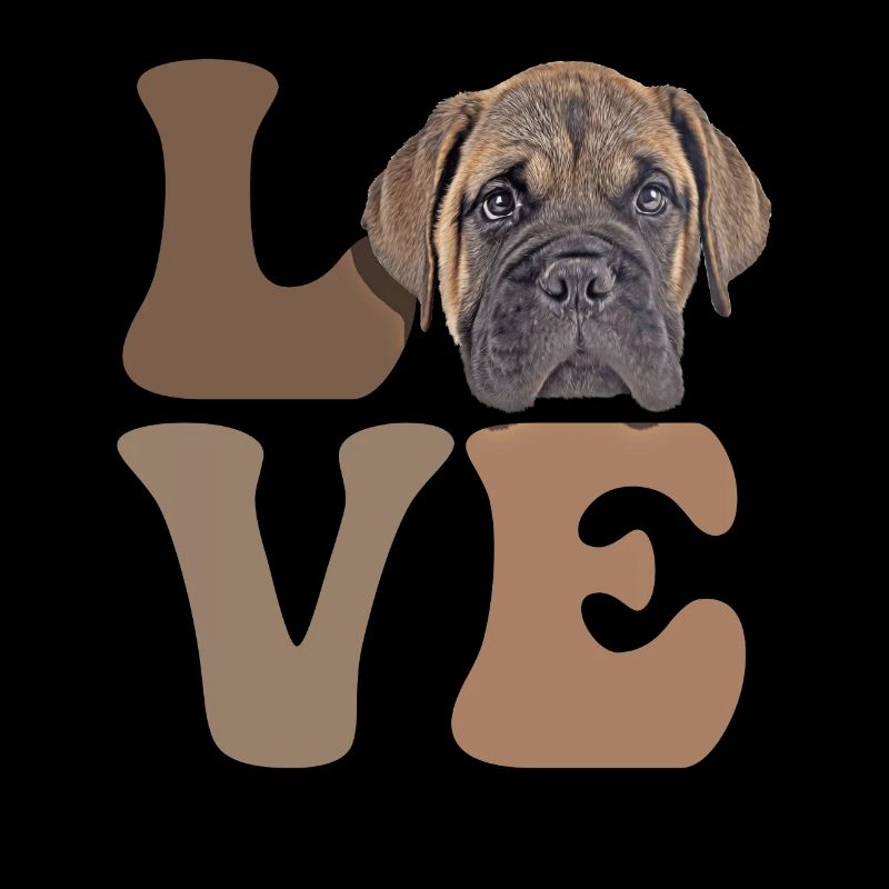 Bullmastiff Dog