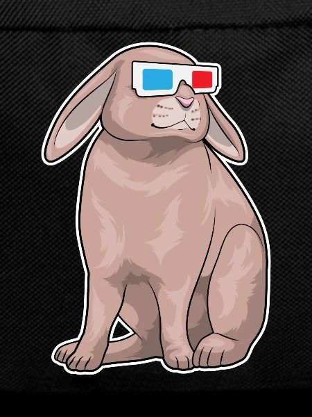 Rabbit Glasses