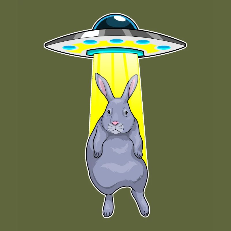 Rabbit Spaceship Space