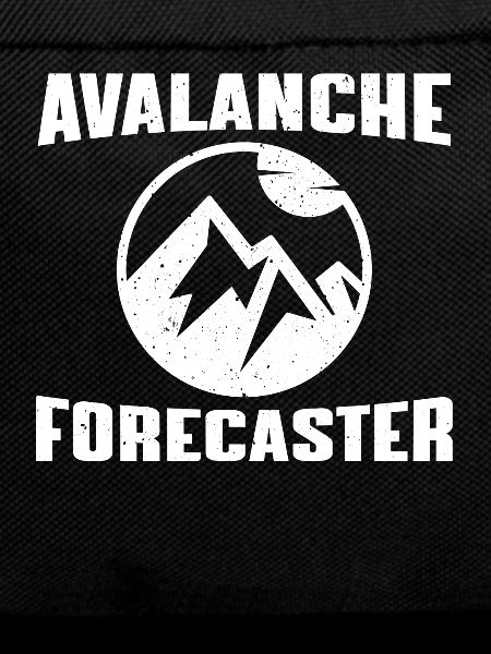 Avalanche warning system