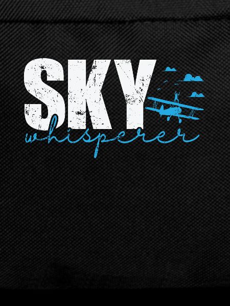 Sky Whisperer Wing Walker Hobby