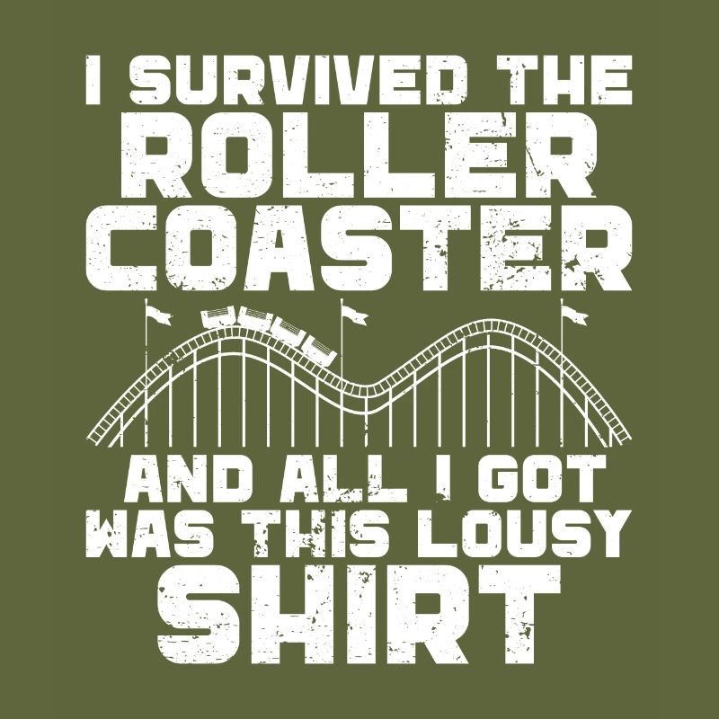 Roller Coaster Amusement Park Roller Coaster Ride