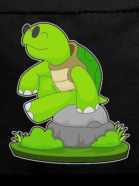 Turtle Sunglasses