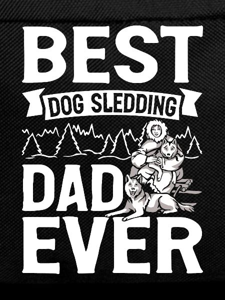 Mushing Dog Sledding Musher