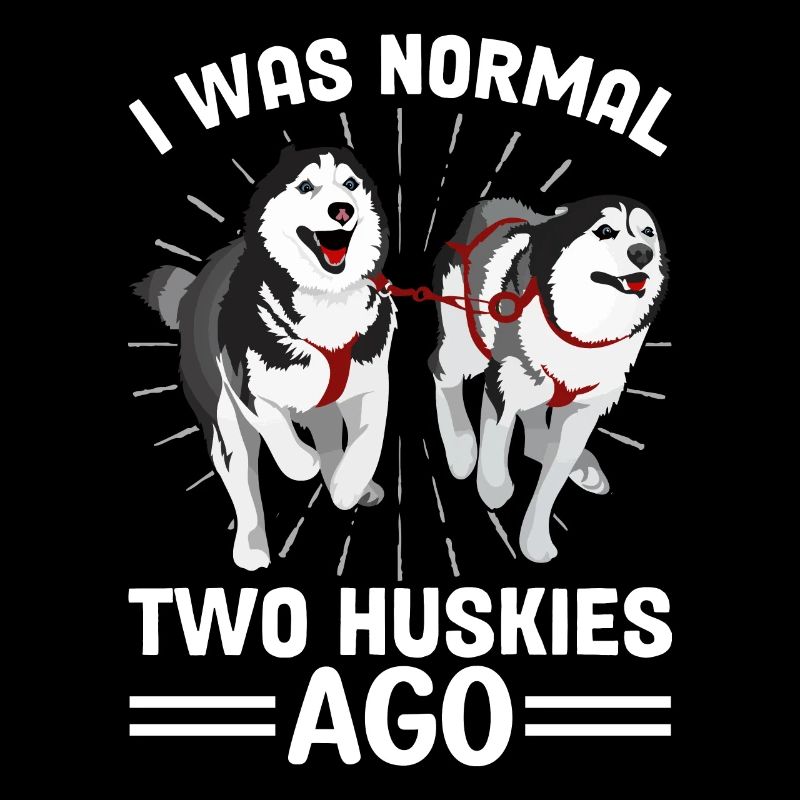 Mushing Dog Sledding Siberian Husky