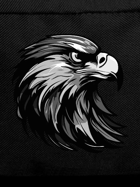 Eagle Head Portrait Animal