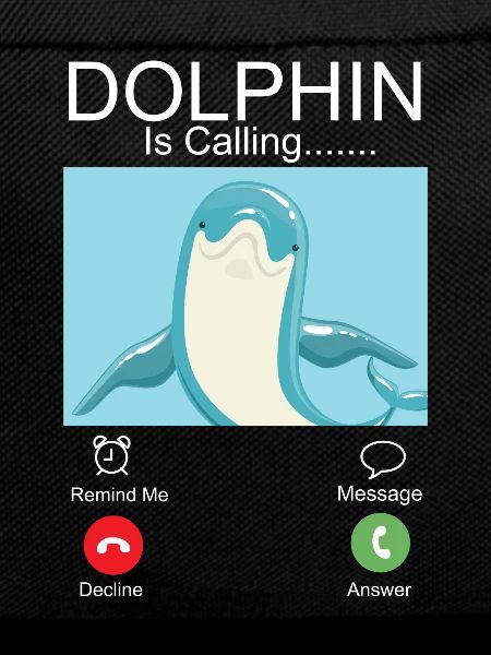 Dolphin Phone Display Dolphin Is
