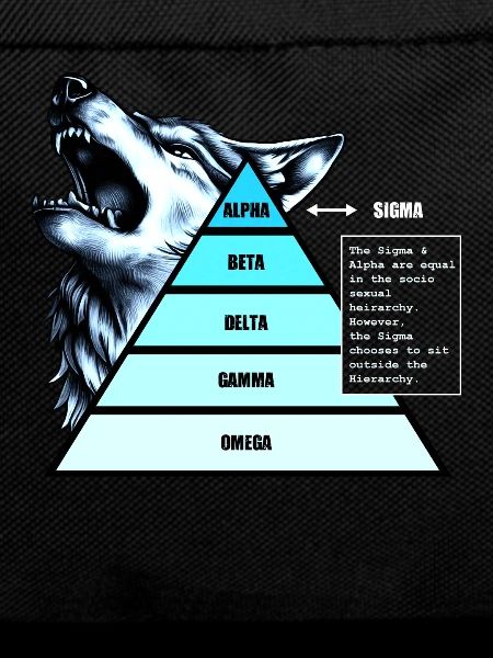 Socio-Sexual Hierarchy Pyramid