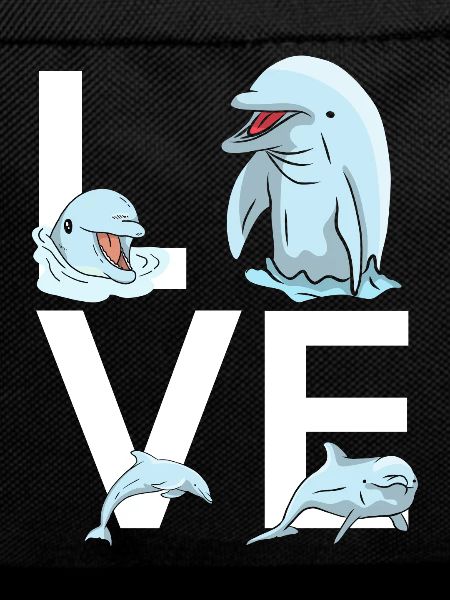 Dolphin Love