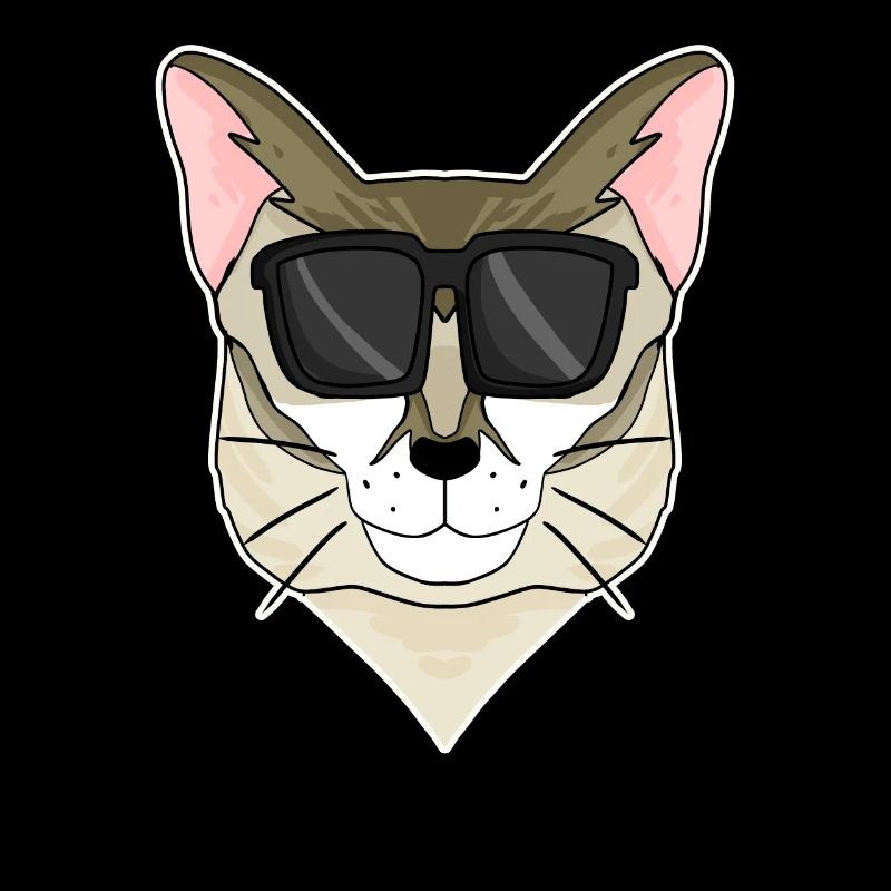 Singapura Katze mit Brille - coole Katze