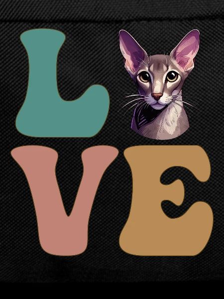 Oriental Shorthair Cat